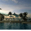 hotel tropical inn en tierra bomba
